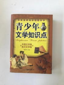 青少年文学知识点:中国文学卷 西方文学卷