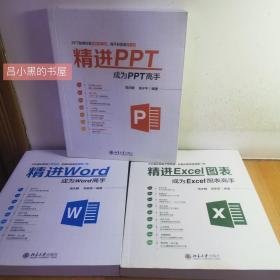 (3本合售) 精进ppt 成为ppt高手 + 精进word 成为word高手 + 精进Excel 成为Excel高手{位置D-2}