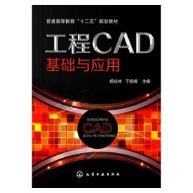 【正版二手】工程CAD基础与应用  杨松林  于奕峰  化学工业出版社  9787122180049