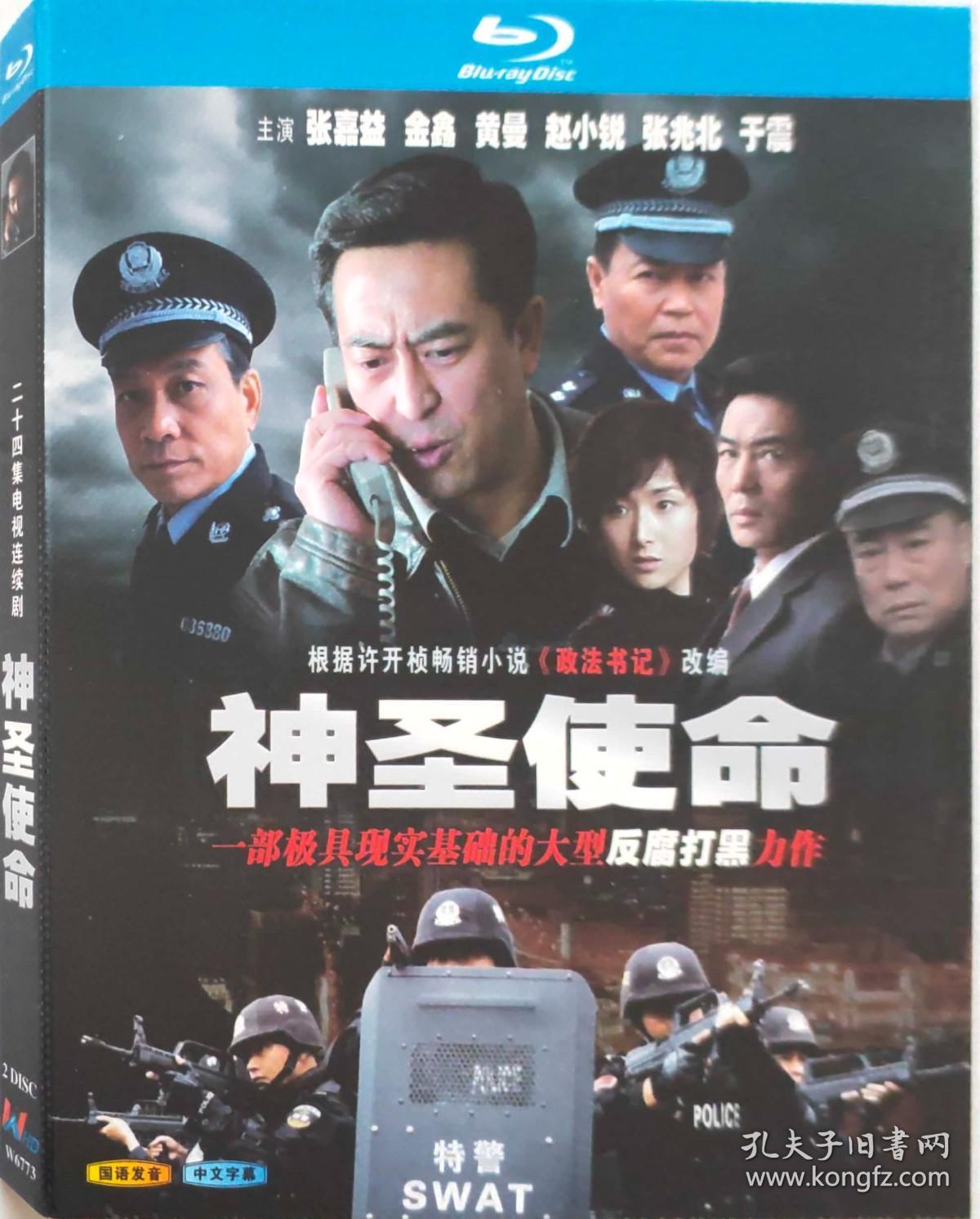 a国产电视连续剧/神圣使命