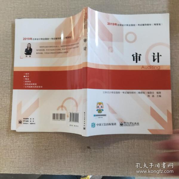 2019年注册会计师全国统一考试辅导教材 精要版 审计
