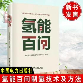 正版書籍 氫能百問 制氫技術制氫方法新能源技術氫能儲運技術制氫工藝能源研究工程氫能產業投資規劃研究科技參考中國電力出版社