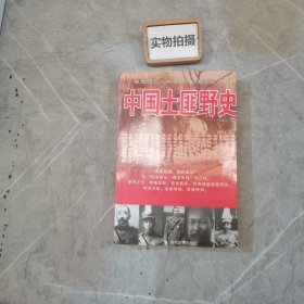 中国土匪野史