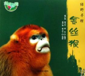 全新正版图书 绿野寻踪-金丝猴雍严格中国林业出版社9787503851322 金丝猴普及读物