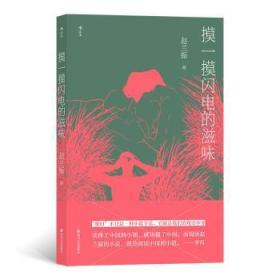 全新正版图书 摸一摸闪电的滋味赵兰振四川文艺出版社有限公司9787541157356 中篇小说小说集中国当代短篇小说普通大众