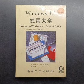 Windows3.1使用大全