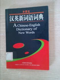 汉英新词语词典