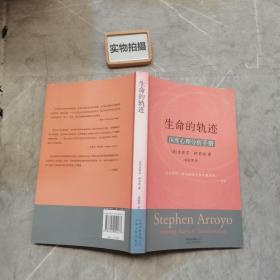 生命的轨迹：深度心理分析手册