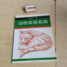 动物素描基础---美术技法一点通