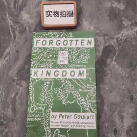 Forgotten Kingdom被遗忘的王国