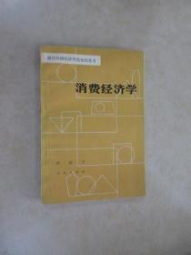 消费经济学   现代外国经济学知识丛书