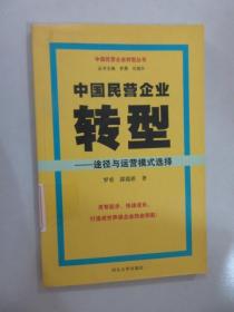 中国民营企业转型 —— 途径与运营模式选择