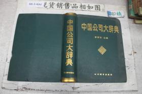 中国公司大辞典