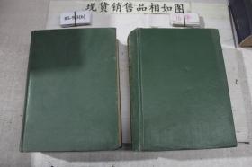 廣漢和辭典 上 中 (2冊合售)