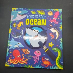 LOTS TO SPOT OCEAN