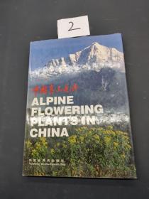 中国高山花卉