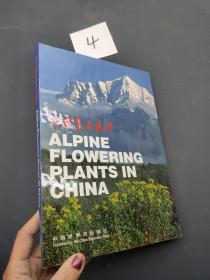 中国高山花卉