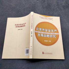 北京市安全生产发展战略研究