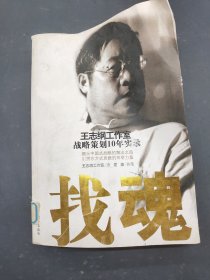 找魂：王志纲工作室战略策划10年实录