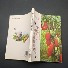 宁夏中宁枸杞种植系统