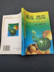 蜜瓜 西瓜设施栽培与制种