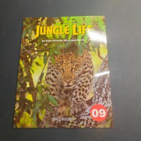 清华英语自然拼读故事屋jungle life