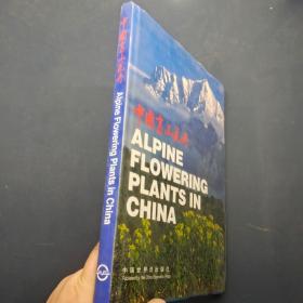 中国高山花卉
