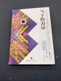 当下的力量（白金版）
