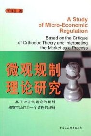 微观规制理论研究：基于对正统理论的批判和将市场作为一个过程的理解