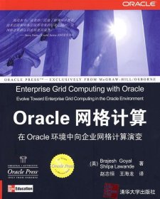 Oracle 网络计算