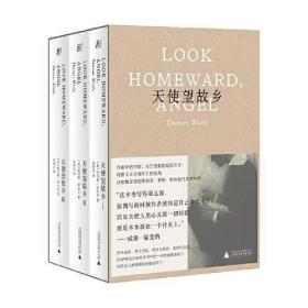 天使望故乡（精美函盒装文库本，著名翻译家宋碧云译本大陆首版）（全3册）