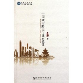 中国城市阶层:北京镜像