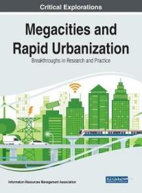 英文原版 Megacities and Rapid Urbanization: Breakthrough