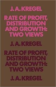 英文原版 Rate of Profit, Distribution and Growth: Two Views