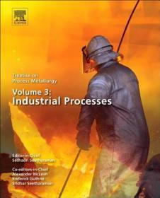 TT-高被引图书 Treatise on Process Metallurgy, Volume 3: Industrial Processes