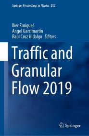 预订Traffic and Granular Flow 2019 (2020)