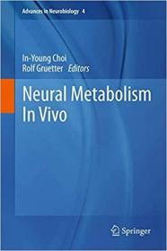 英文原版 Neural Metabolism in Vivo
