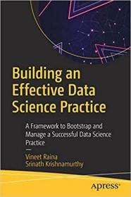 英文原版Building an Effective Data Science Practice: A Framework to Bootstrap and Manage a Successful Data Science Practice