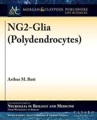 英文原版NG2-Glia (Polydendrocytes)