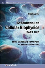 英文原版 高被引图书Introduction to Cellular Biophysics, Volume 2