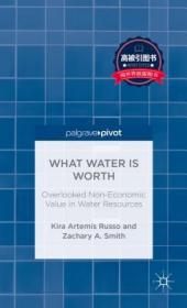 预订 高被引图书What Water Is Worth: Overlooked Non-Economic Value in Water Resources (2013)