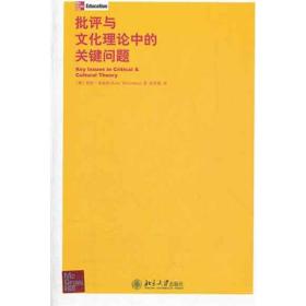 批评与文化理论中的关键问题 凯特·麦高恩 9787301201114