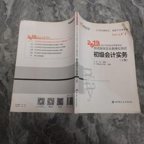 轻松过关1 2019应试指导及全真模拟测试 初级会计实务（下册）