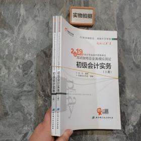 2019年会计专业技术资格考试应试指导及全真模拟测试 初级会计实务（上下册合售）