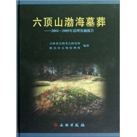 六顶山渤海墓葬 2004-2009年清理发掘报告 吉林省文物出版社 王洪峰 正版书籍 多省 9787501035724