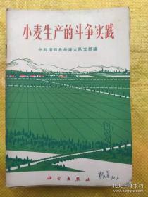 小麦生产的斗争实践 中共偃师县岳滩大队支部