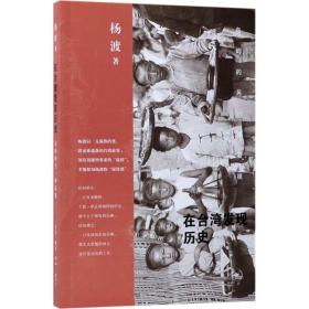 正版书 在台湾发现历史：岛屿的另一种凝视杨渡生活.读书.新知三联书店 全新书籍