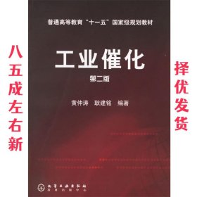 工业催化 第2版 黄钟涛,耿建铭 编著 化学工业出版社