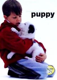 英文原版画册 The Complete Guide to the Puppy 小狗的完整指南