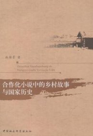 合作化小说中的乡村故事与历史 中国现当代文学 杜国景